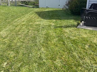 Charley B.'s Lawn Mowing service result