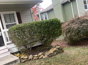 Bush Trimming by Scott Culala for Cortney O. in Olathe, KS