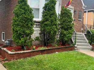 Bush Trimming by Felix Berrios for Mitch G. in Elmwood Park, IL