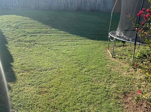 Steve M.'s Lawn Mowing Service service result