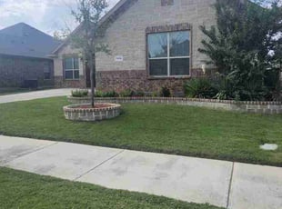 "Tammy Than Thi D.'s Yard Cutting service result