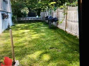 jean E.'s Lawn Mowing Service service result