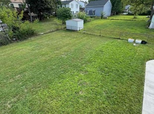 Emmett W.'s Lawn Mowing service result