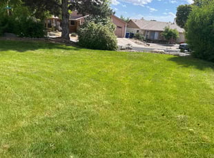 Gaston H.'s Lawn Mowing Service service result
