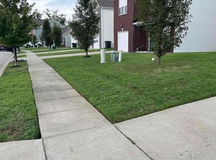 Jason P.'s Lawn Care service result
