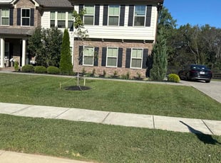 Tom R.'s Lawn Care service result