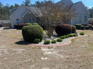 Bush Trimming by Jaczuile Pegues for Alexus H. in Elgin, SC