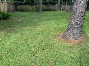 Getty L.'s Lawn Mowing Service service result