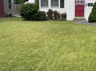 Timothy J.'s Lawn Care service result