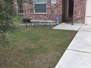 Weeding by Israel Melendrez for Pamela B. in San Antonio, TX