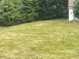 Ashley S.'s Lawn Mowing service result