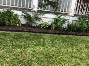 Weeding by Stephan Coleman for Zach H. in Columbus, OH