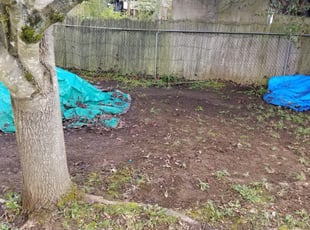 Leaf Removal by J P for Priya S. in Portland, OR
