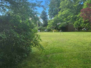Amber C.'s Lawn Service service result
