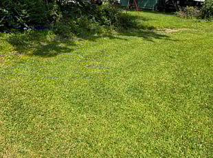 Takedra G.'s Yard Cutting service result