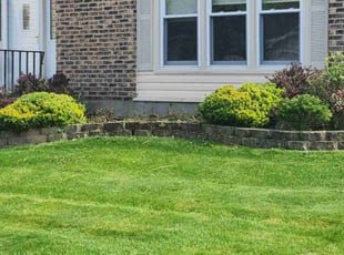 Bush Trimming by Brooke Ardoin for Alec K. in Glendale Heights, IL