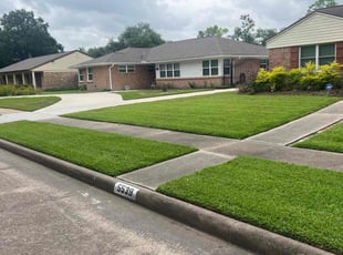 Sally W.'s Lawn Maintenance service result