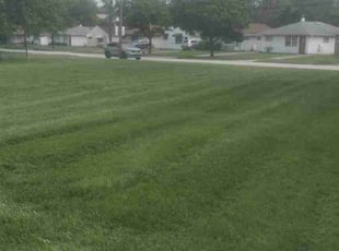 Sheila G.'s Lawn Mowing service result