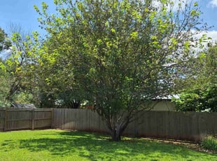 Andrew R.'s Lawn Service service result