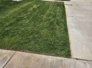 Kevin G.'s Yard Cutting service result