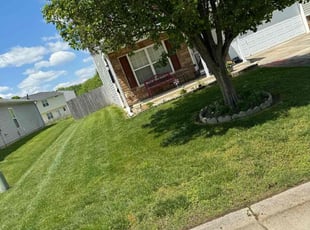 Shawntalle M.'s Grass Cutting service result
