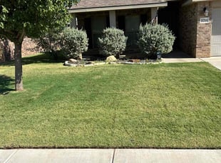 Sarah M.'s Lawn Care service result