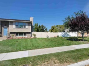Jeannette L.'s Yard Cutting service result