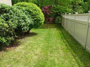 Nedra A.'s Lawn Mowing service result