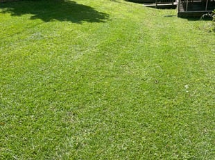 Gia S.'s Lawn Care service result