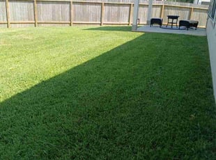 Bobbi S.'s Grass Cutting service result