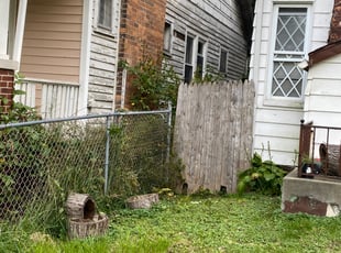 Bush Trimming by David Brooks for Shirley J. in Detroit, MI