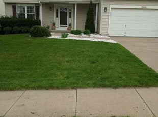 Chloe C.'s Lawn Service service result
