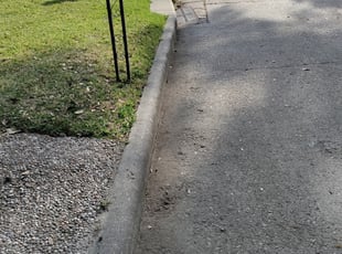 Lilian C.'s Leaf Removal service result