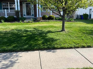 Stephen R.'s Lawn Mowing service result