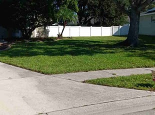 Diane A.'s Yard Cutting service result