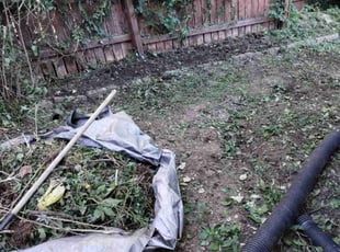 Cleanups by Andrew Hendrickson for Tammy B. in Kansas City, MO