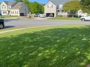 Asia T.'s Lawn Mowing Service service result