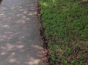 Iris C.'s Lawn Mowing service result