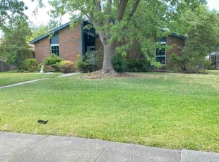 Leaf Removal by John Potter for Matt T. in Garland, TX