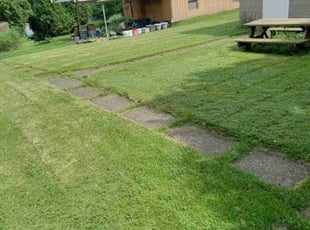 Athena B.'s Lawn Care service result