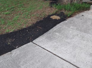 Mulching by Julio Martinez for April F. in San Antonio, TX