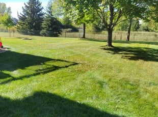 Owens B.'s Lawn Maintenance service result