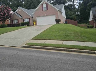 Alex V.'s Lawn Maintenance service result