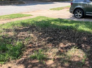 Cleanups by Arlyn Franco for pat w. in Norman, OK