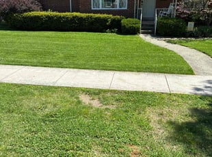 Ashton R.'s Lawn Service service result