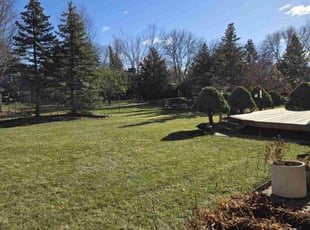 Leaf Removal by Kristeen Gusa for Tim C. in Maple Grove, MN