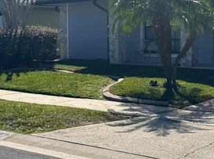 Selwyn S.'s Lawn Mowing service result