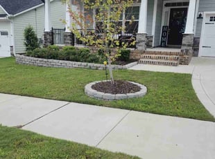Jean S.'s Yard Cutting service result