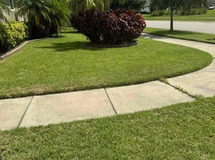 Andrea M.'s Lawn Mowing Service service result