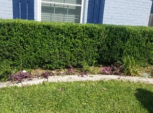 Landscaping by Jerry Carson for Jessica M. in Austin, TX